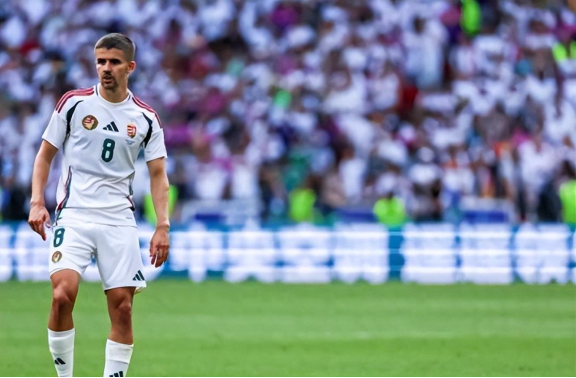 半岛体育app官方下载-关于加拿大篮球联赛引发争议，裁判错误导致球队失利的信息