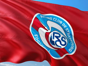 半岛体育官网入口-帕尔梅拉斯赛前体能检测通过，争冠筹备顺利