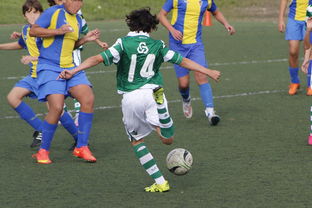 半岛体育入口-狼堡客场连胜，完美征程再添一战胜利！，狼堡是啥